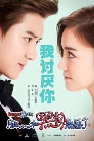 Tôi Là Anti-Fan Kết Hôn - I Married An Anti-Fan (2016)
