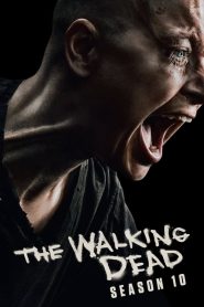 Xac Song Phan 10 - The Walking Dead: Season 10