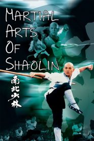 Nam Bắc Thiếu Lâm - Martial Arts Of Shaolin (1986)
