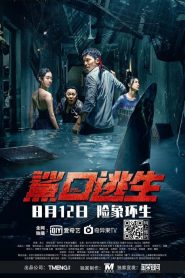 Trốn Chạy Khỏi Cá Mập - Escape Of Shark (2021)